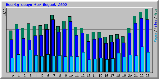 Hourly usage for August 2022